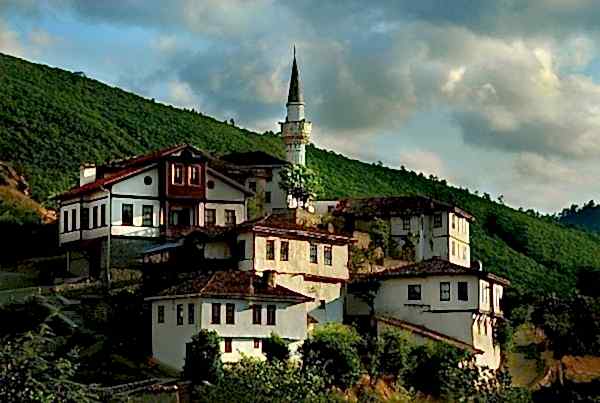 Acarlar Halı Yıkama